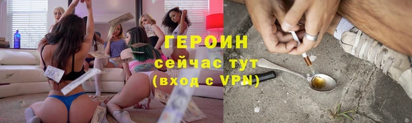 прущие грибы Чердынь