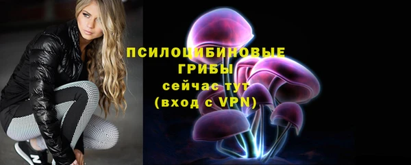 амф Кукмор