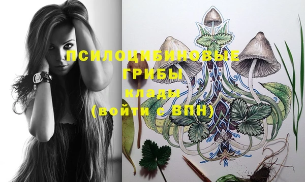 прущий лед Кулебаки