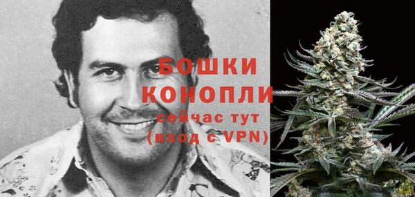 шишки Яранск
