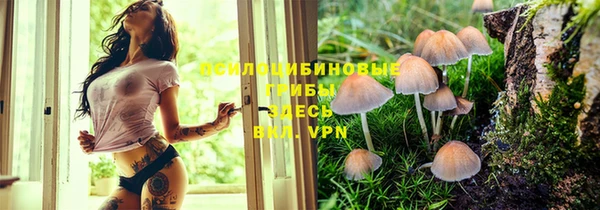 прущий лед Кулебаки