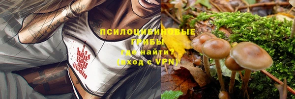 прущий лед Кулебаки