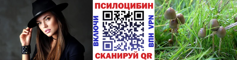 где найти наркотики  Давлеканово  Галлюциногенные грибы Psilocybine cubensis 